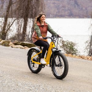Velotric Ebike Review